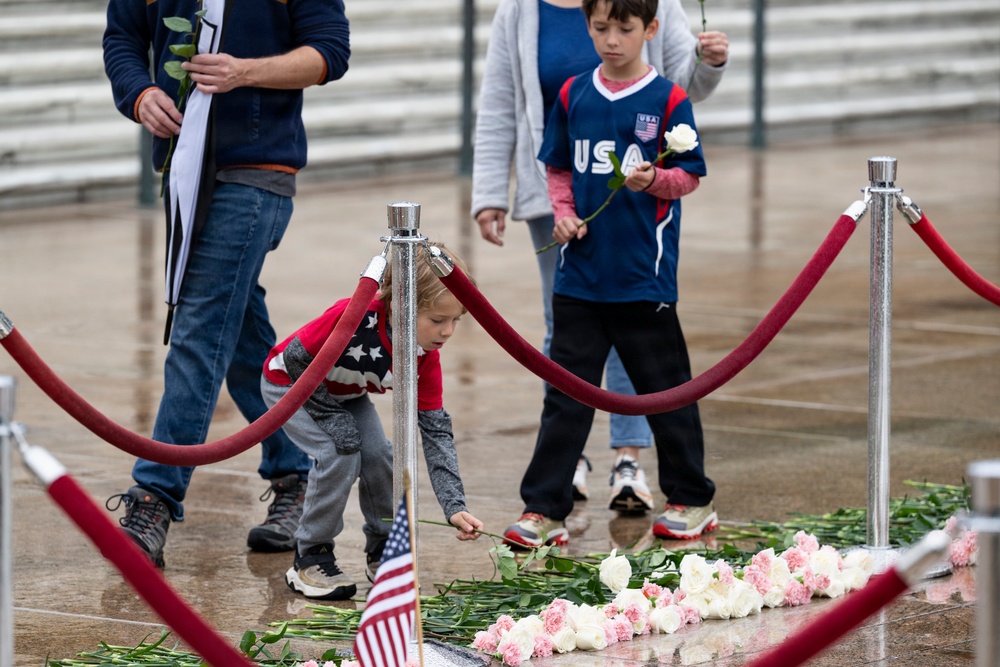 Flowers of Remembrance Day 2026