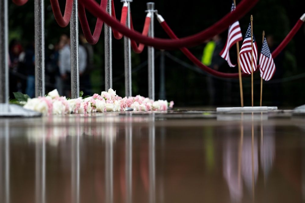 Flowers of Remembrance Day 2026