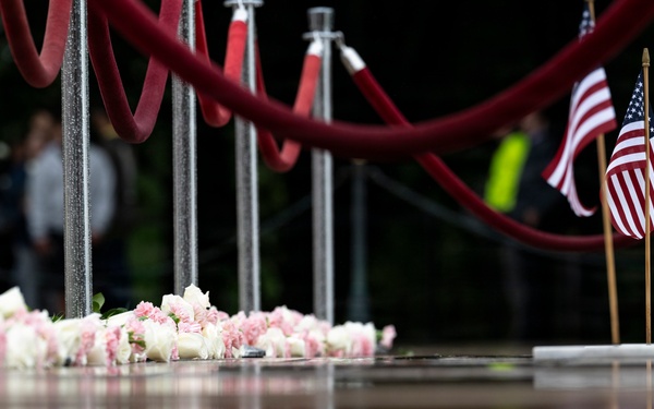 Flowers of Remembrance Day 2026