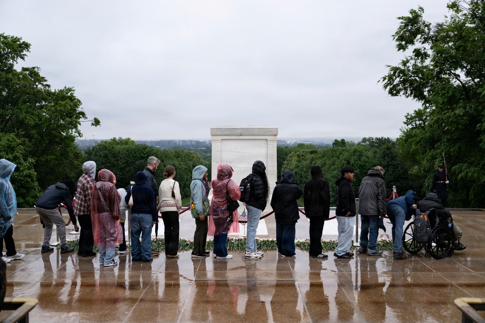 Flowers of Remembrance Day 2026