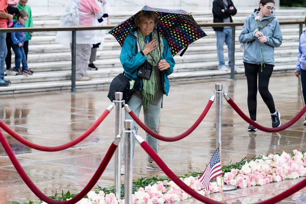 Flowers of Remembrance Day 2026