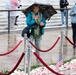 Flowers of Remembrance Day 2026