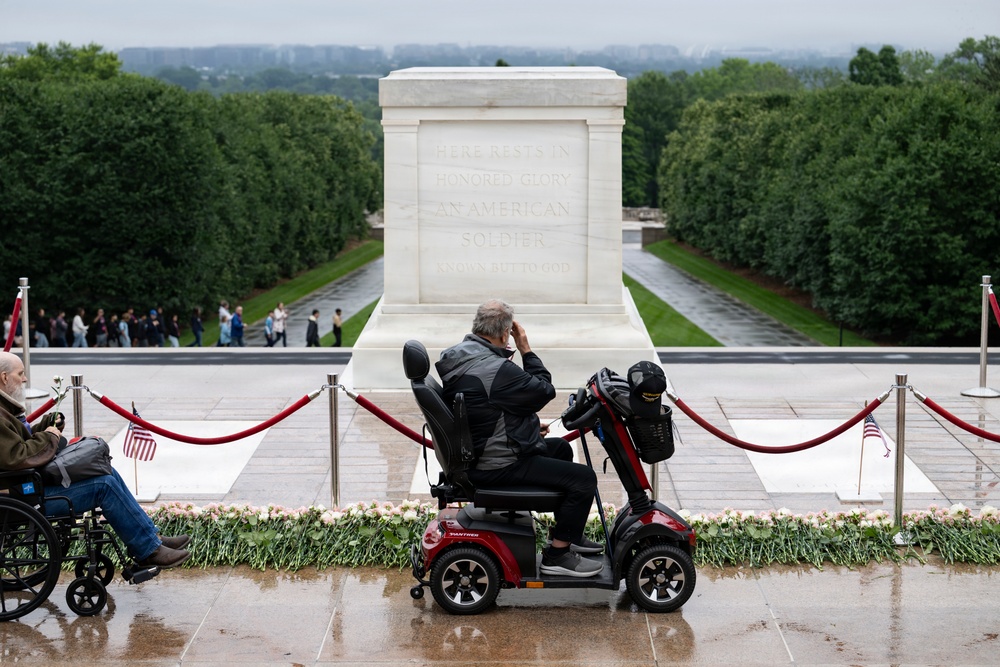 Flowers of Remembrance Day 2026
