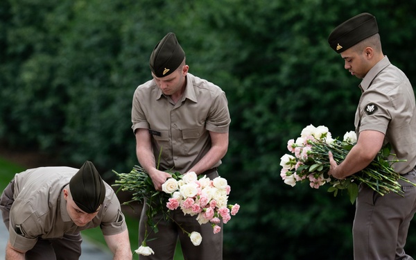 Flowers of Remembrance Day 2026