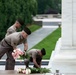 Flowers of Remembrance Day 2026