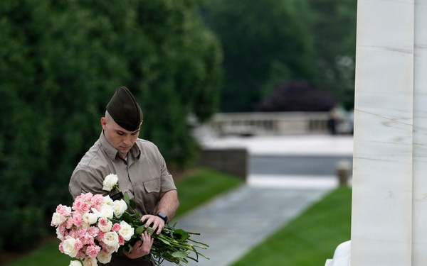Flowers of Remembrance Day 2026