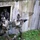 2026 U.S. Army Reserve Best Squad Competition from the 416th Theater Engineer Command, simulate assaulting a hostile village 2026 U.S. Army Reserve Best Squad Competition from the 416th Theater Engineer Command, simulate assaulting a hostile village