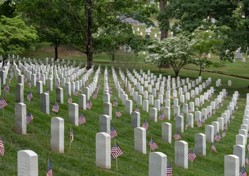 Honoring the fallen at Arlington National Cemetery