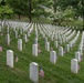 Honoring the fallen at Arlington National Cemetery