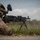 U.S. Army Reserve Soldier Engages in a Live Fire Exercise during the Best Squad Competition