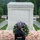158th National Memorial Day Observance 158th National Memorial Day Observance