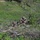 USAR Best Squad Competition - Mortar Pit
