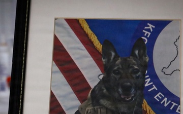 Memorial Display Honors Service of Retired MWD Perle X429