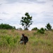 Air National Guard Emergency Management students complete land navigation training conducted by the 188th Wing at Fort Chaffee