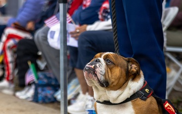 Mt. Soledad Memorial Day Ceremony