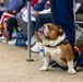 Mt. Soledad Memorial Day Ceremony