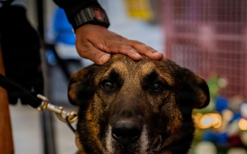 Police Week 2026: Honoring the Fallen
