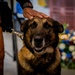 Police Week 2026: Honoring the Fallen
