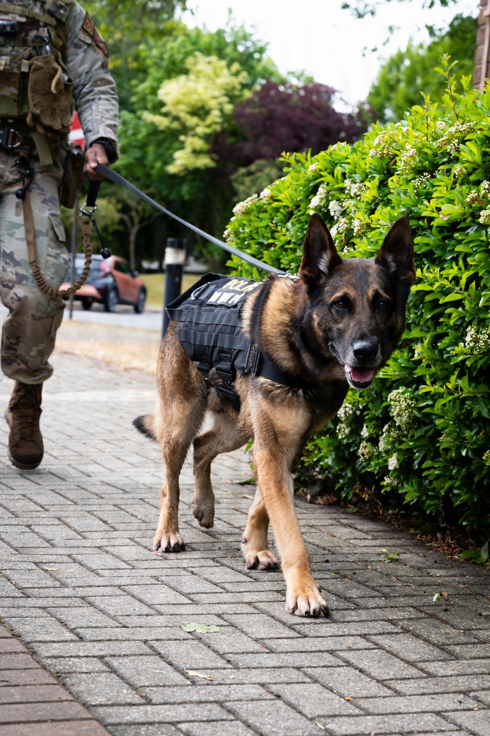 Police Week 2026: Remembrance Ruck