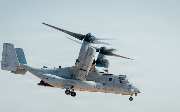 VMM Conducts Local Maneuver Training In Djibouti
