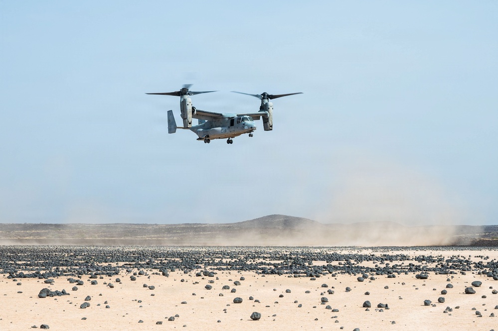 VMM Conducts Local Maneuver Training In Djibouti