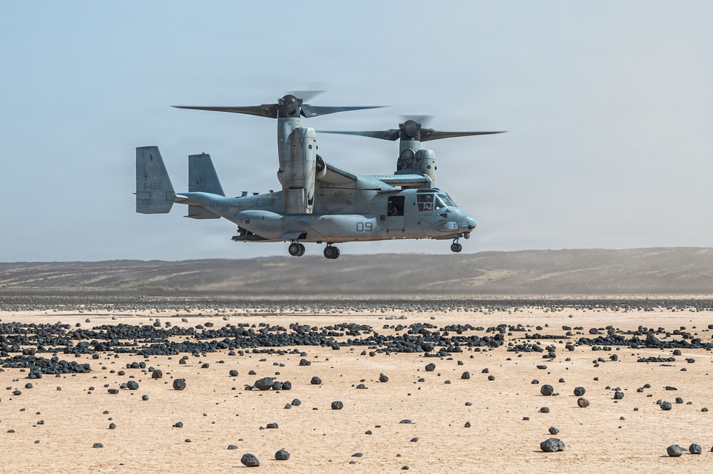 VMM Conducts Local Maneuver Training In Djibouti