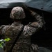 Virginia Guard engineers conduct counter-mobility training in Finland