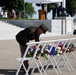 Allies honor fallen Americans at Brittany Memorial Day ceremony