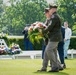 Multi-Domain Command - Europe participates in Memorial Day Ceremony at Lorraine American Cemetery