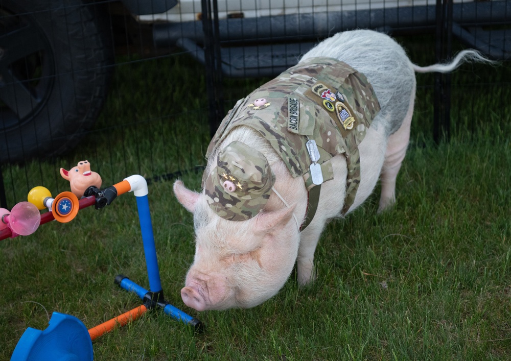 2026 Fort McCoy Armed Forces Day Open House