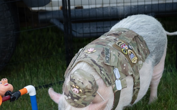 2026 Fort McCoy Armed Forces Day Open House