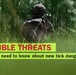 Invisible threats: New tick-borne dangers found on U.S. military installations