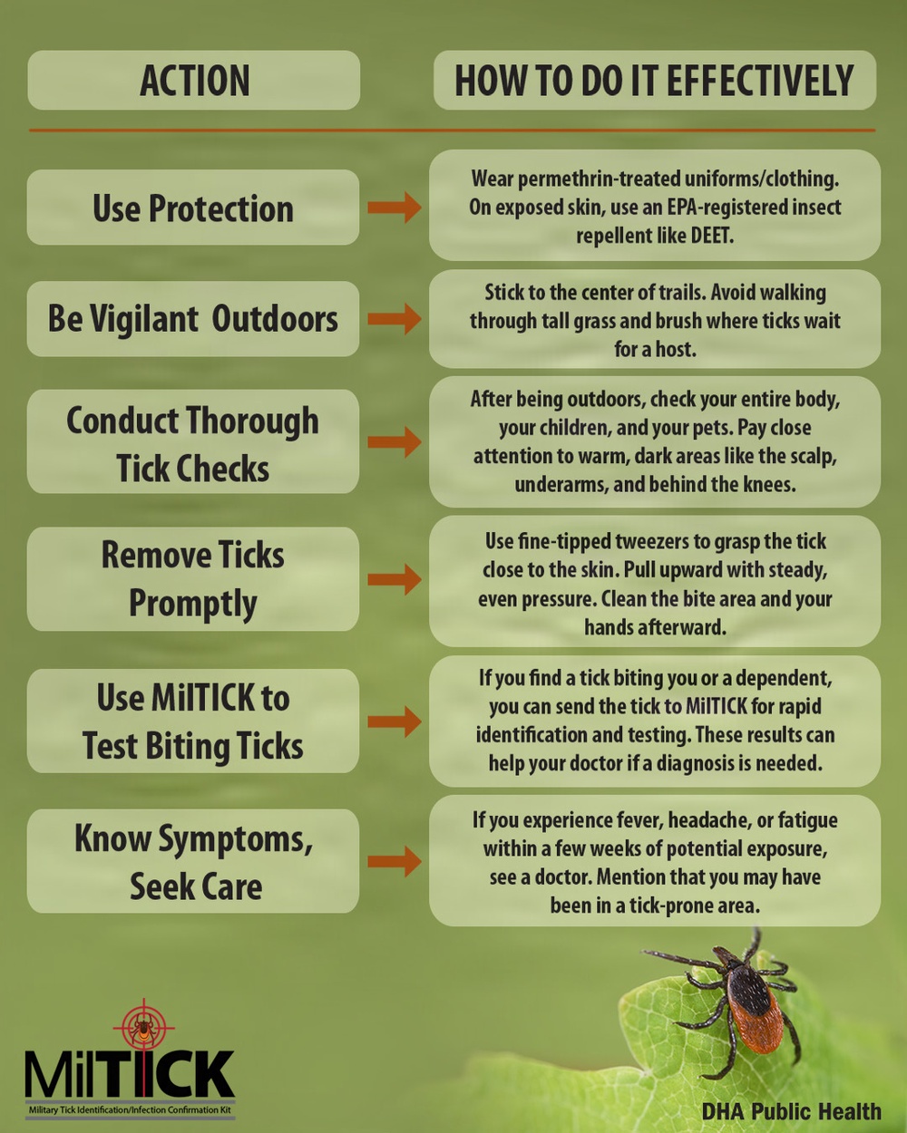 Invisible threats: New tick-borne dangers found on U.S. military installations