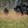 USAR Best Squad Competition - Stalk USAR Best Squad Competition - Stalk