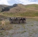 U.S. Marines, 2nd Bn., 5th Marines conduct non-lethal weapons course
