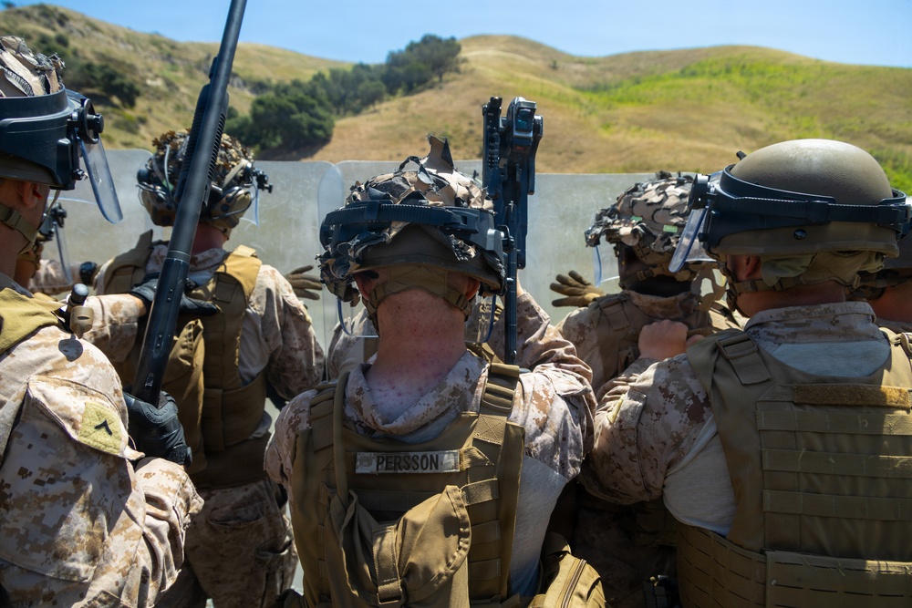 U.S. Marines, 2nd Bn., 5th Marines conduct non-lethal weapons course