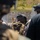 U.S. Marines, 2nd Bn., 5th Marines conduct non-lethal weapons course U.S. Marines, 2nd Bn., 5th Marines conduct non-lethal weapons course