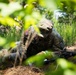 CASCOM 2026 Drill Sergeant of the Year Competition