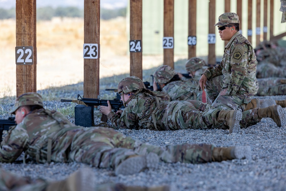 319th ESB conducts IWQ training at Fort Hunter Liggett