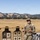 319th ESB conducts IWQ training at Fort Hunter Liggett 319th ESB conducts IWQ training at Fort Hunter Liggett