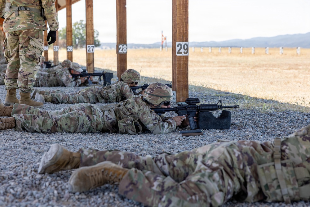 319th ESB conducts IWQ training at Fort Hunter Liggett
