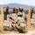 319th ESB conducts IWQ training at Fort Hunter Liggett 319th ESB conducts IWQ training at Fort Hunter Liggett