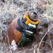 Kirtland EOD partners with Pueblo of Acoma to clear WWII-era ordinance