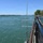 Restoring the Niagara River: The Emerald Shiner Fish Passage Project