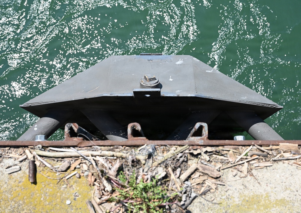 Restoring the Niagara River: The Emerald Shiner Fish Passage Project