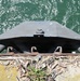 Restoring the Niagara River: The Emerald Shiner Fish Passage Project