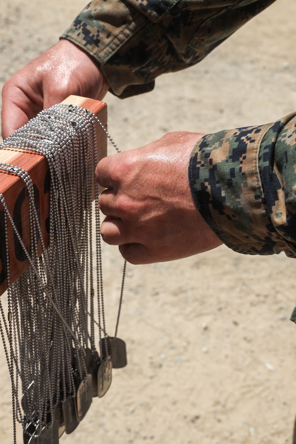 HMLAT-303 Warrior Day