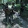 USAR Best Squad Competition- VIP Down Pilot USAR Best Squad Competition- VIP Down Pilot
