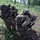 USAR Best Squad Competition- VIP Down Pilot USAR Best Squad Competition- VIP Down Pilot