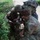 USAR Best Squad Competition- VIP Down Pilot USAR Best Squad Competition- VIP Down Pilot